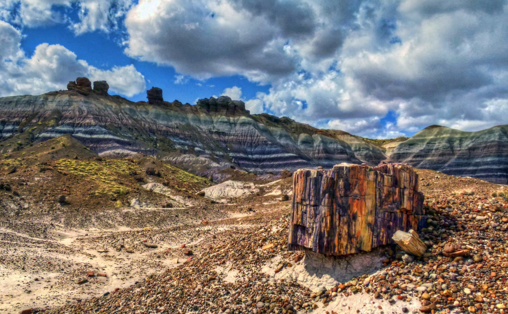 Petrified Forest National Park.
