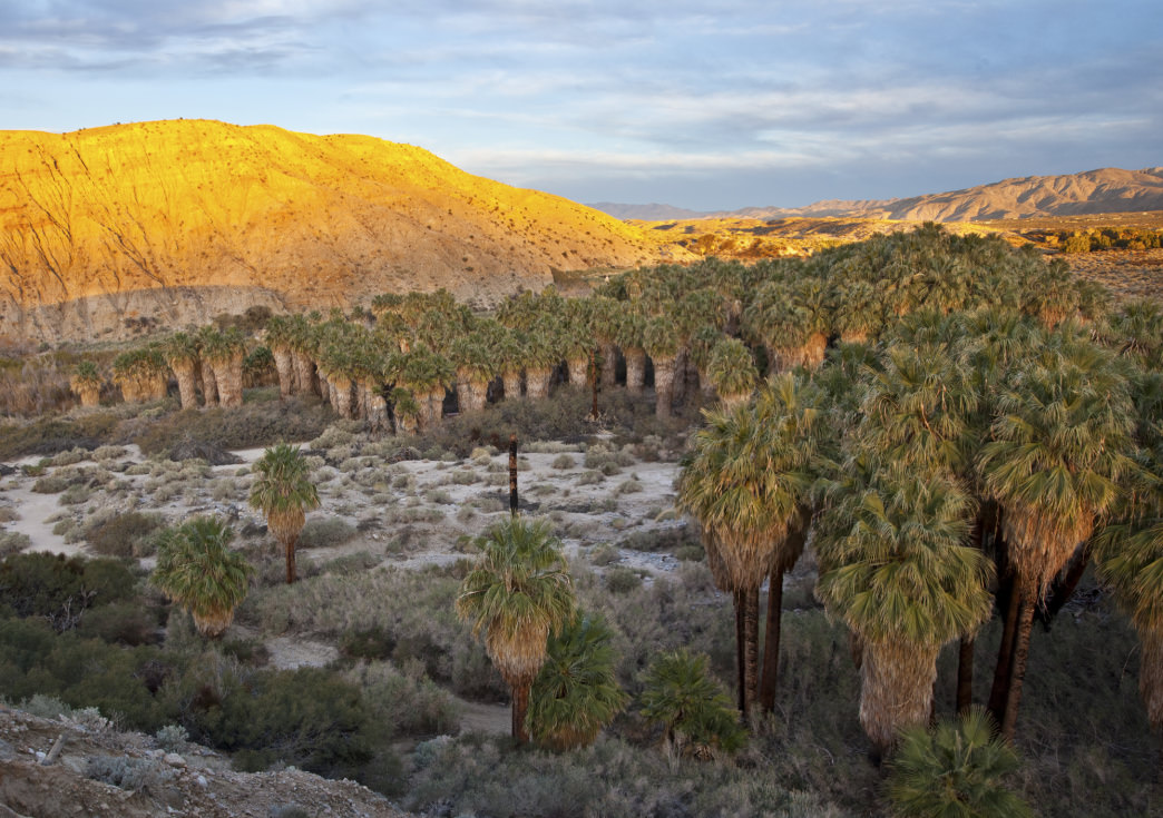00 20160916 California Coachella Valley Preserve Palm Springs